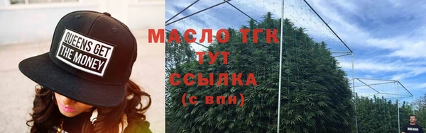 молекула духа Богородицк