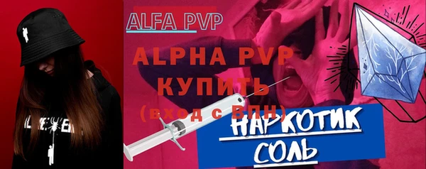 молекула духа Богородицк