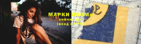 молекула духа Богородицк