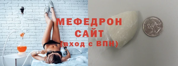молекула духа Богородицк