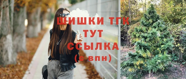 молекула духа Богородицк