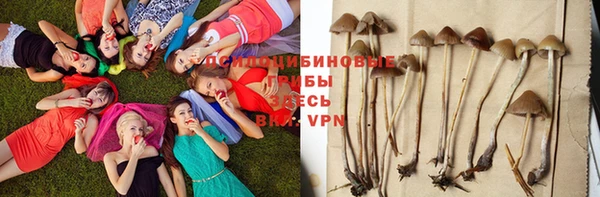 меф VHQ Богданович