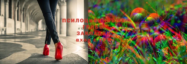 молекула духа Богородицк