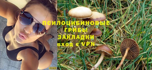mdma Бородино