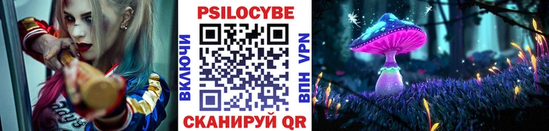 Купить закладки  Торопец  Псилоцибиновые грибы Cubensis 